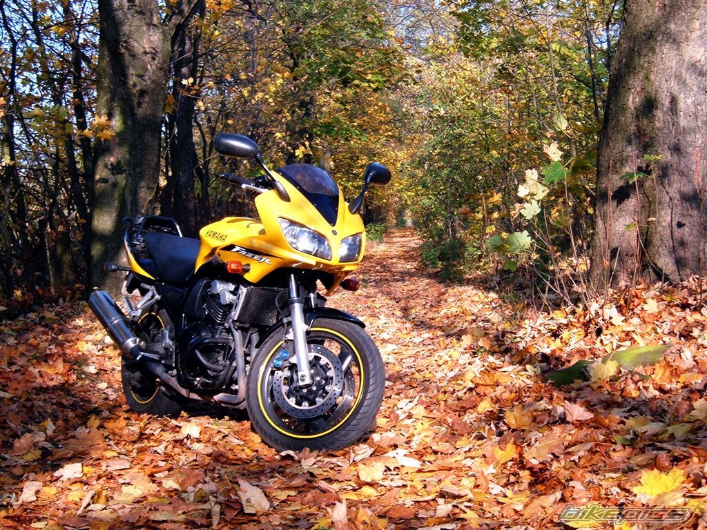 Bike Photo 1464960