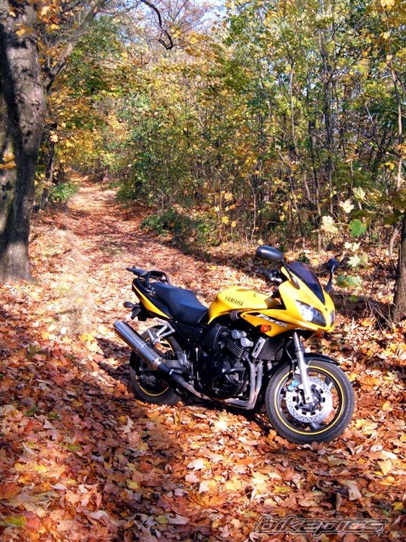 Bike Photo 1464961