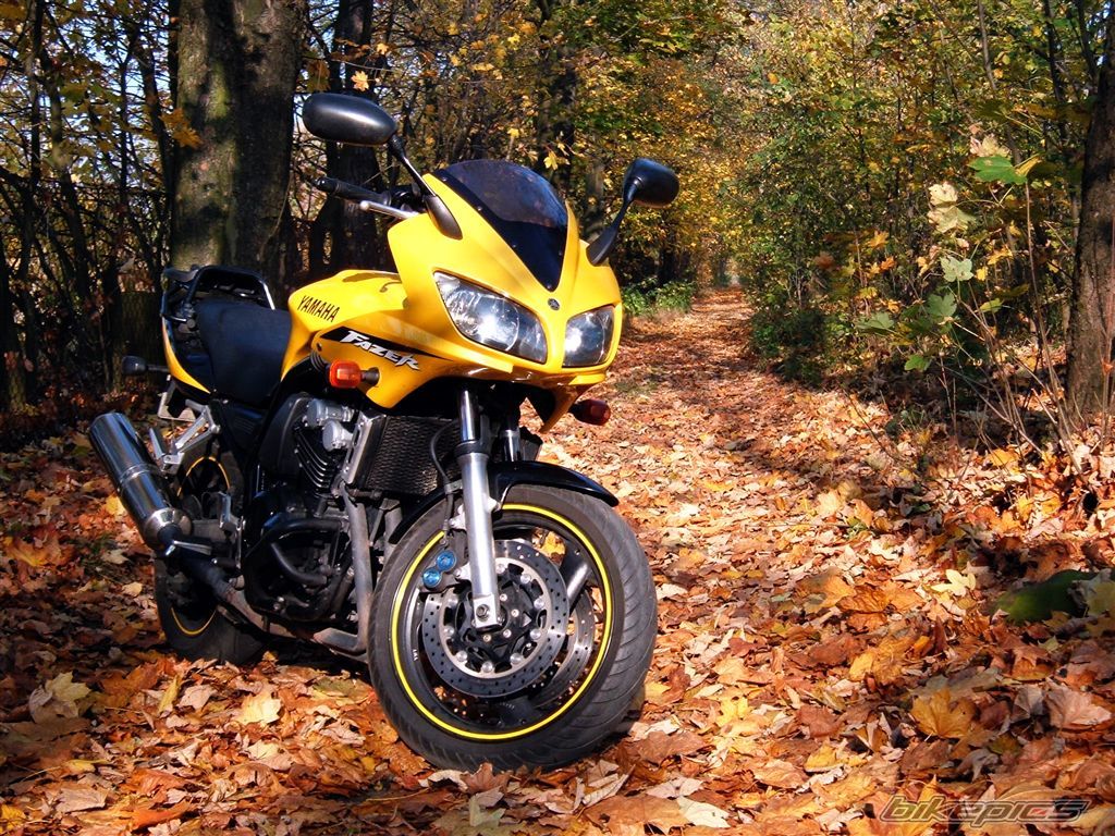 Bike Photo 1464962