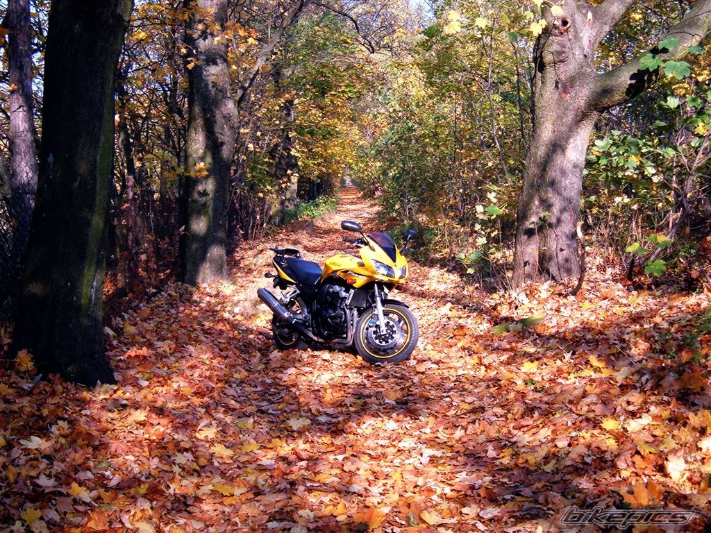 Bike Photo 1464963