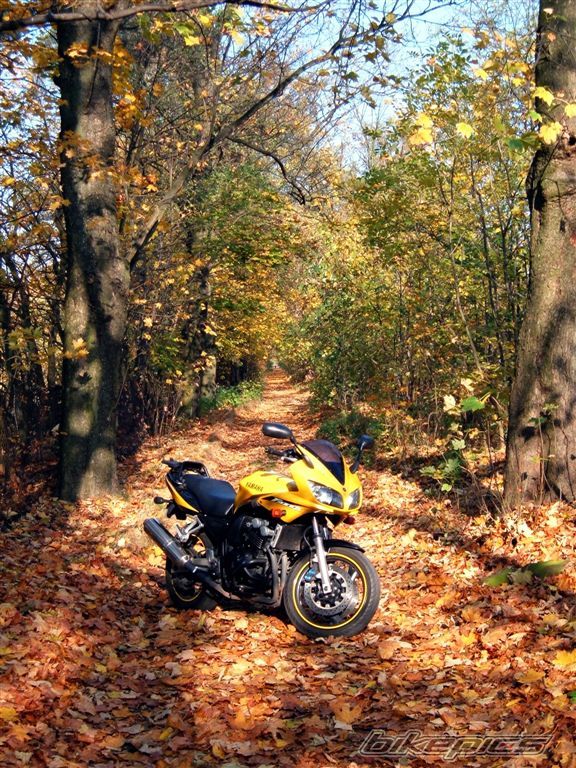 Bike Photo 1464965