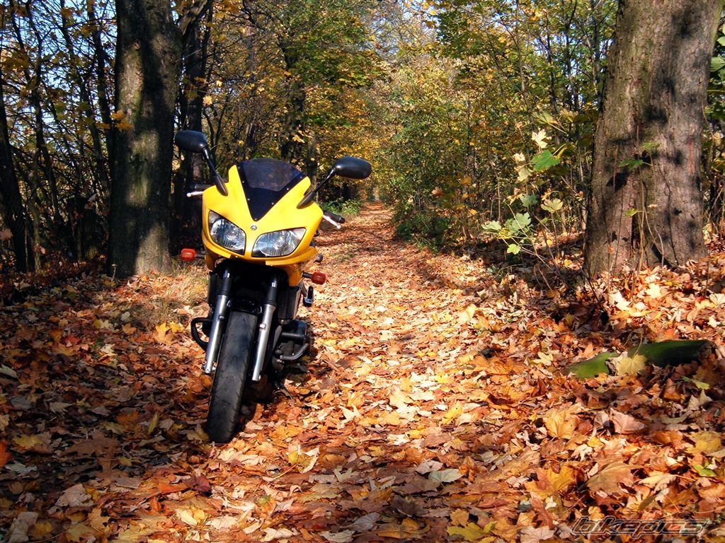 Bike Photo 1464967