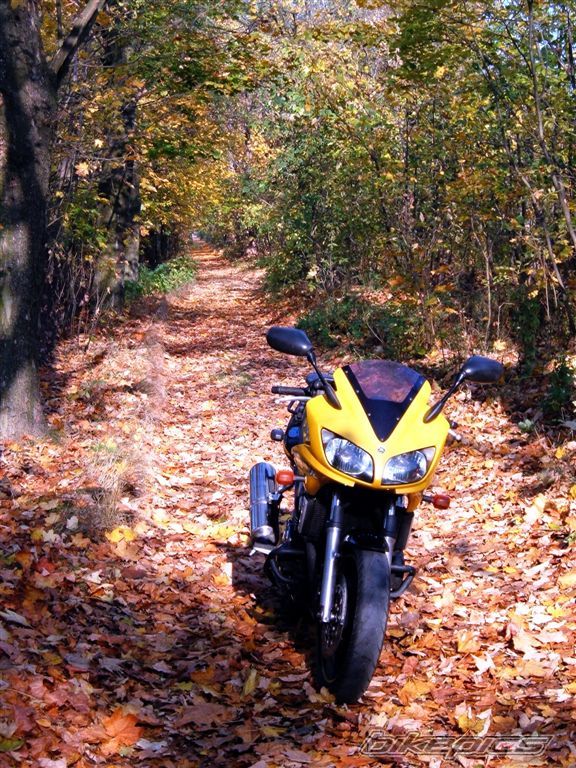 Bike Photo 1464968