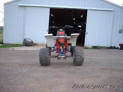 Photo 146497