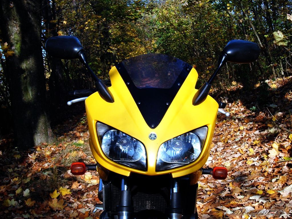 Bike Photo 1464970