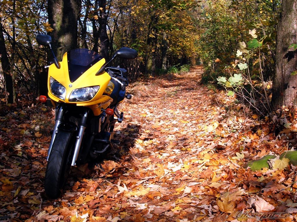 Bike Photo 1464973