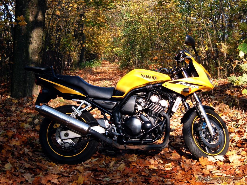 Bike Photo 1464974