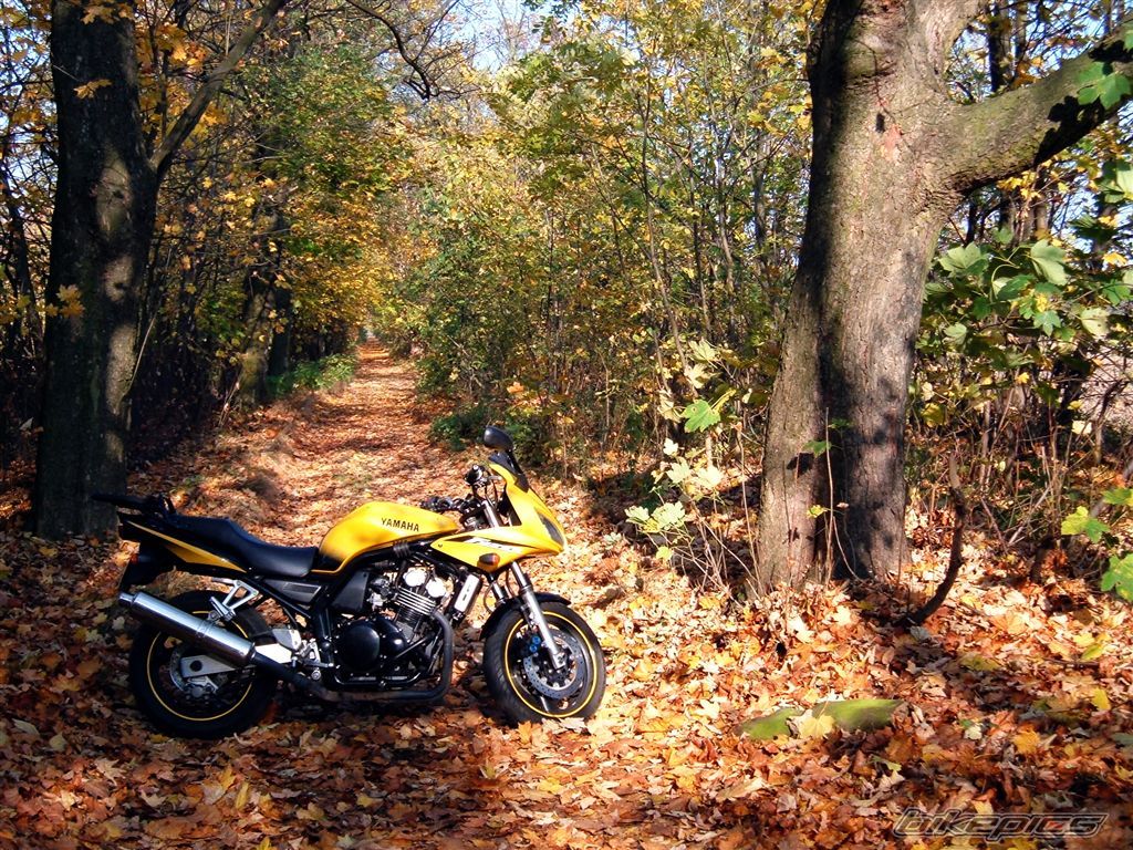 Bike Photo 1464976