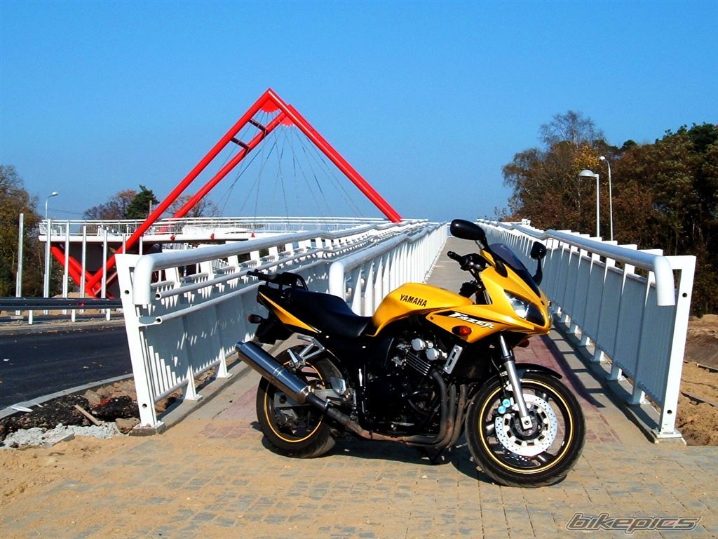 Bike Photo 1464985
