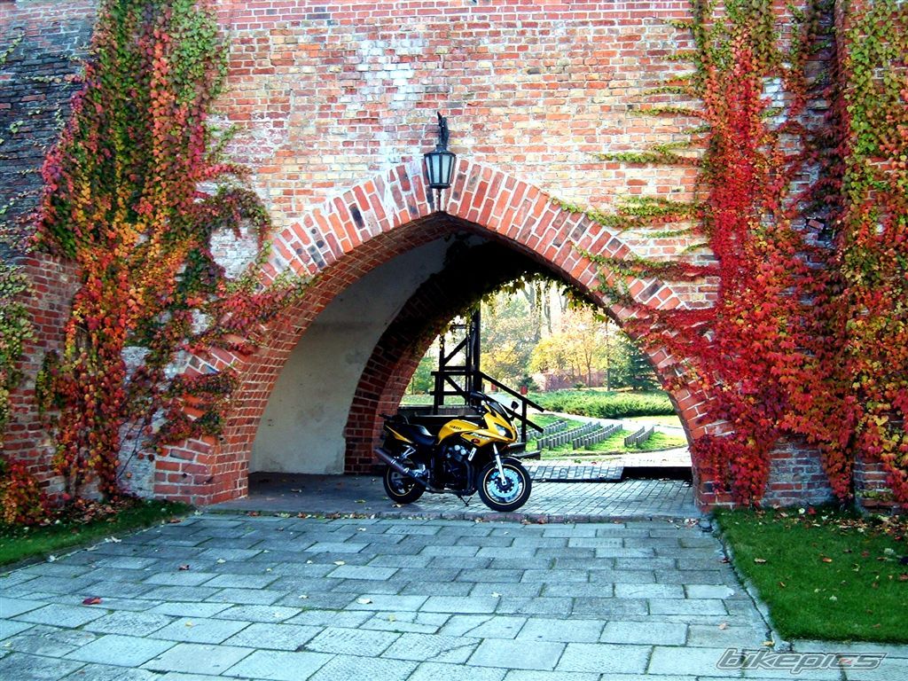 Bike Photo 1464991