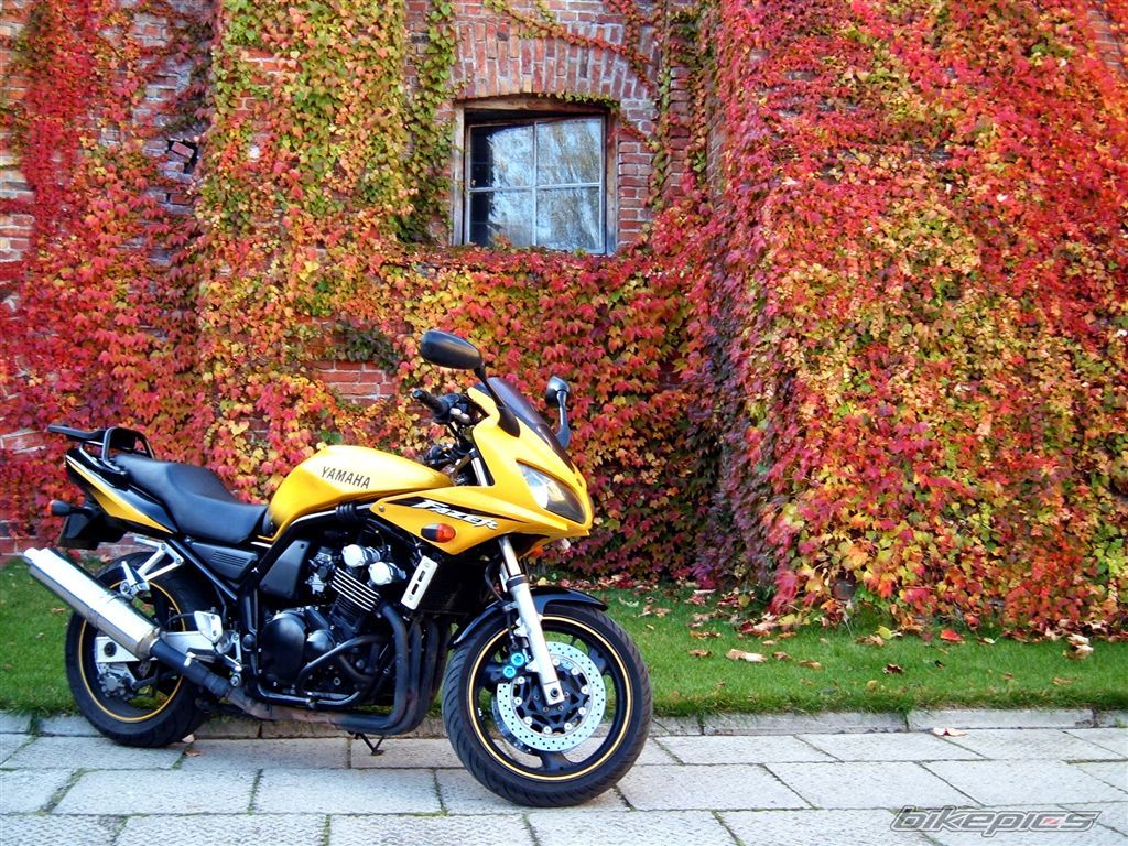 Bike Photo 1464992