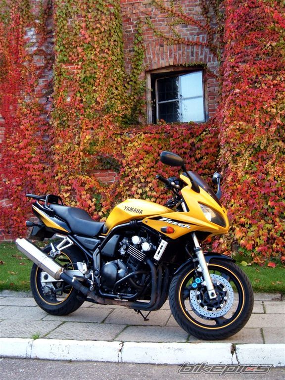 Bike Photo 1464993