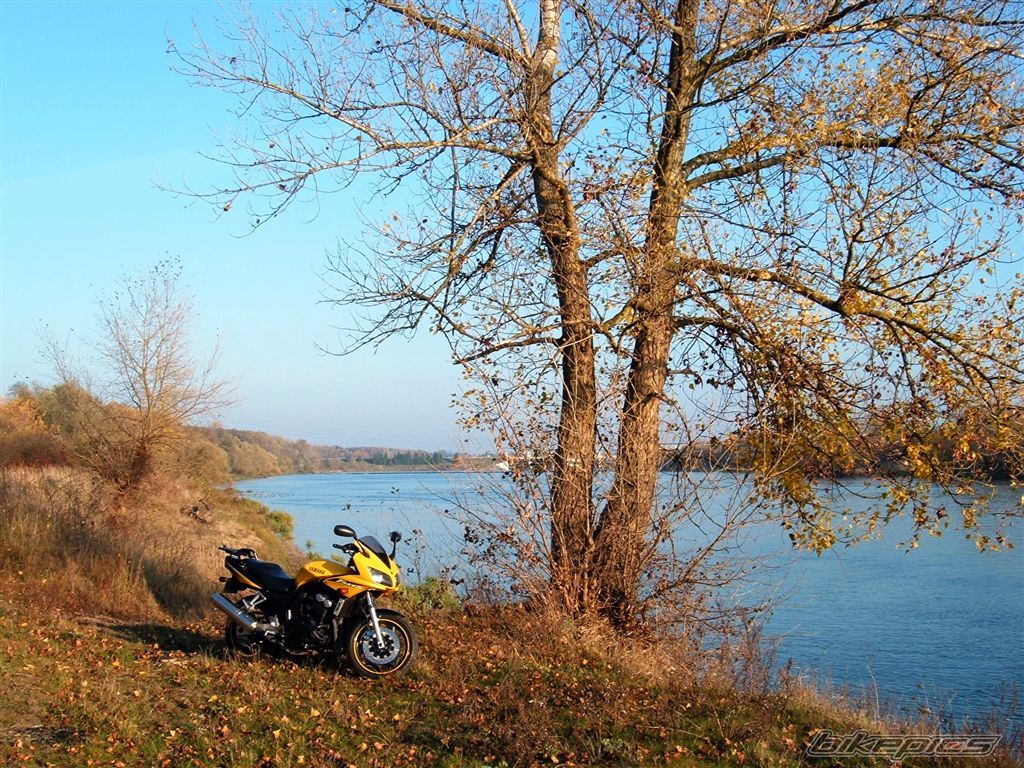 Bike Photo 1465000