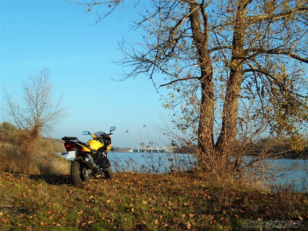 Bike Photo 1465003