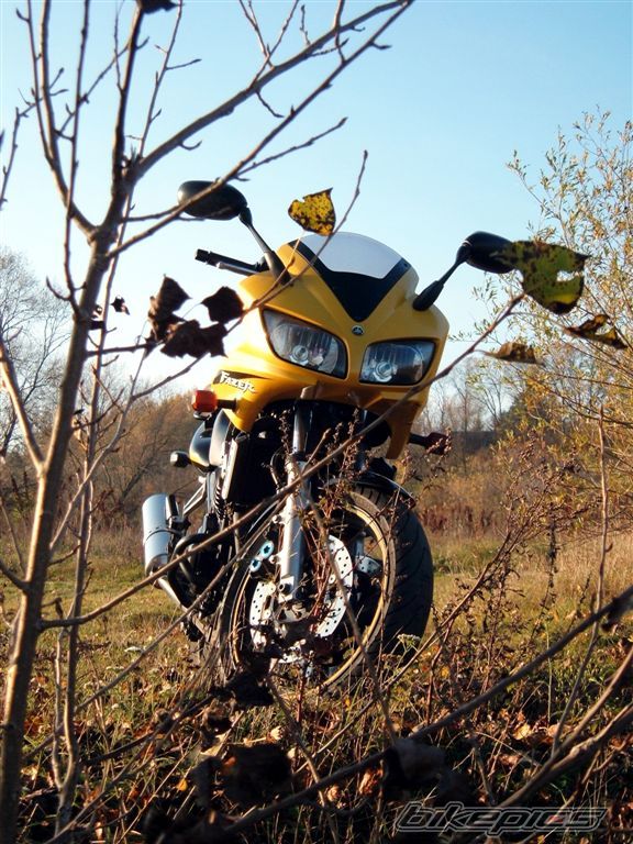Bike Photo 1465006