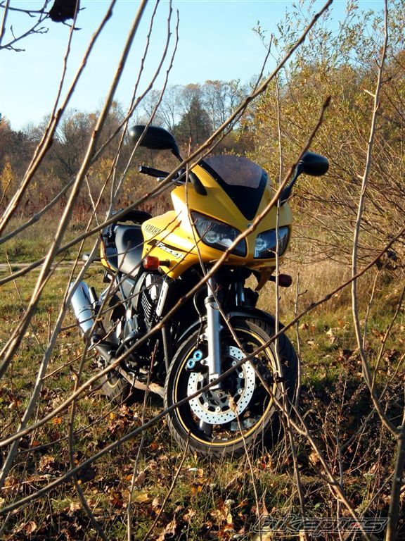 Bike Photo 1465007