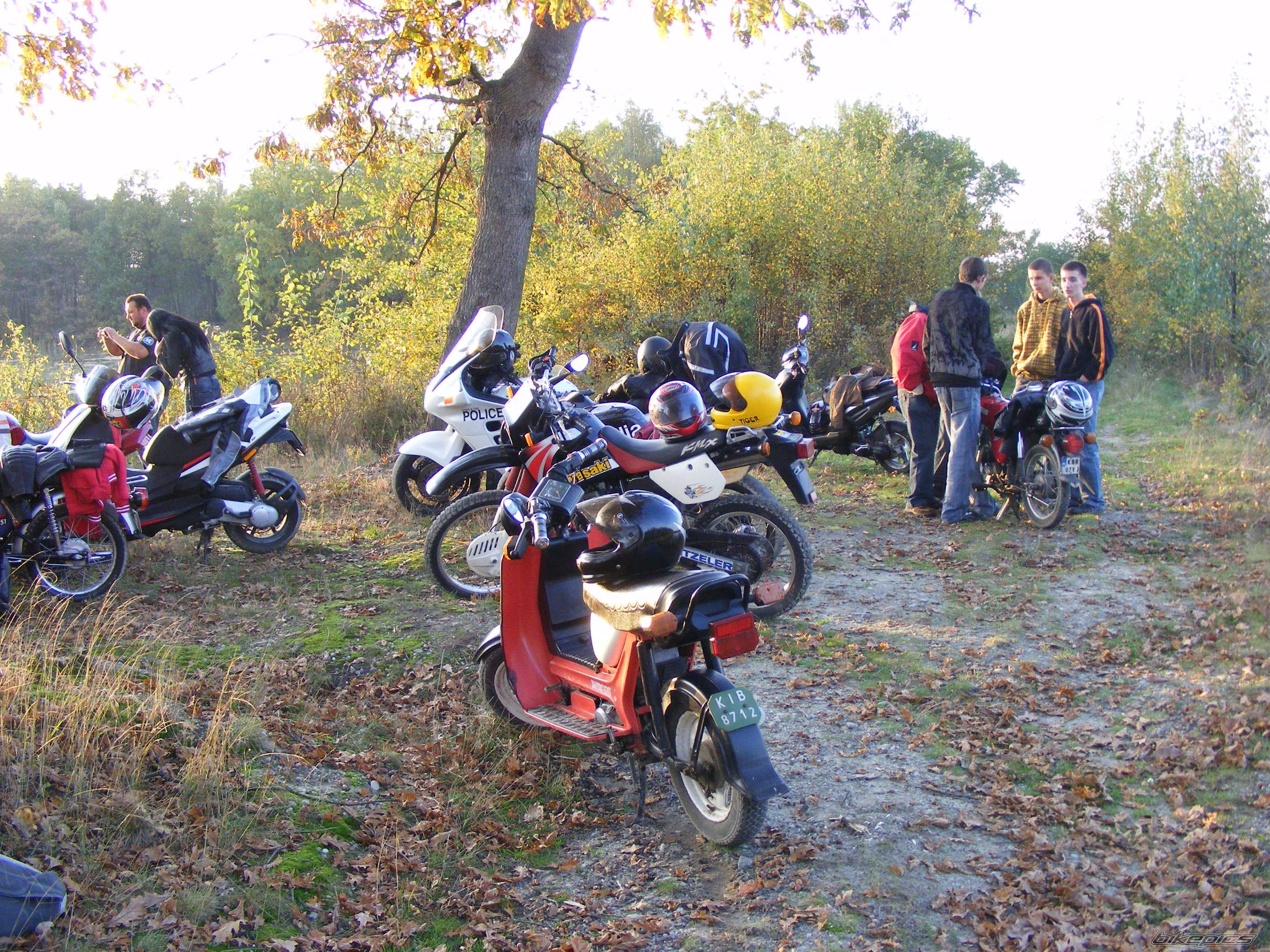 Photo 1465033
