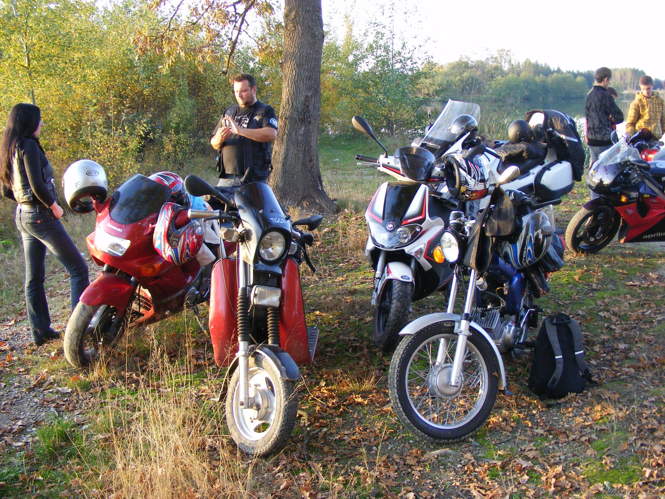 Photo 1465037