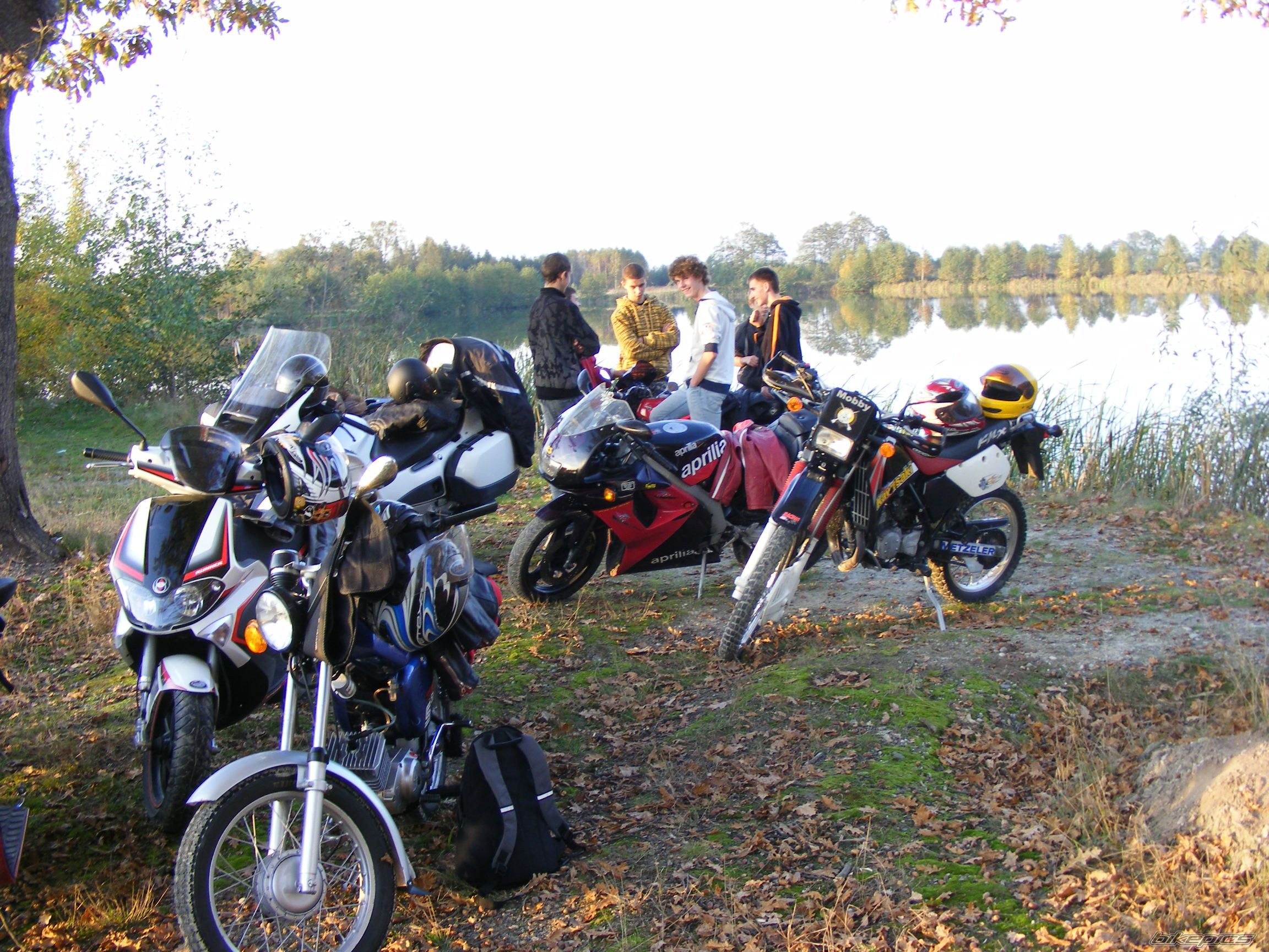 Photo 1465038