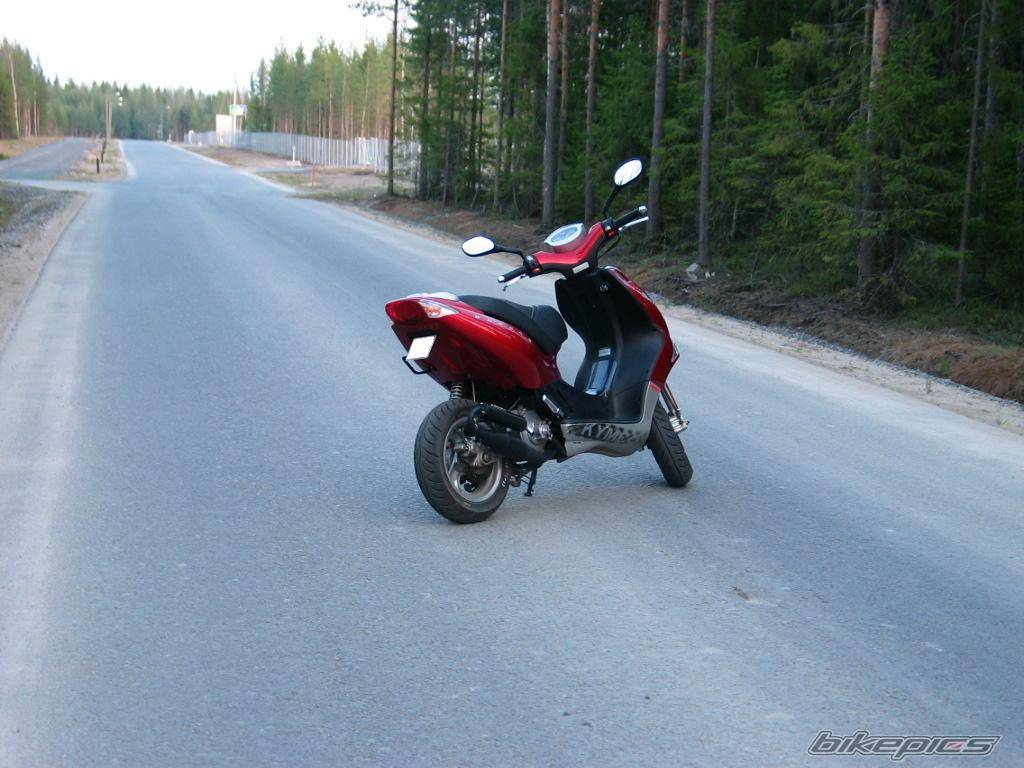 Photo 146504