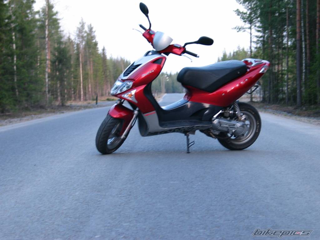 Photo 146505