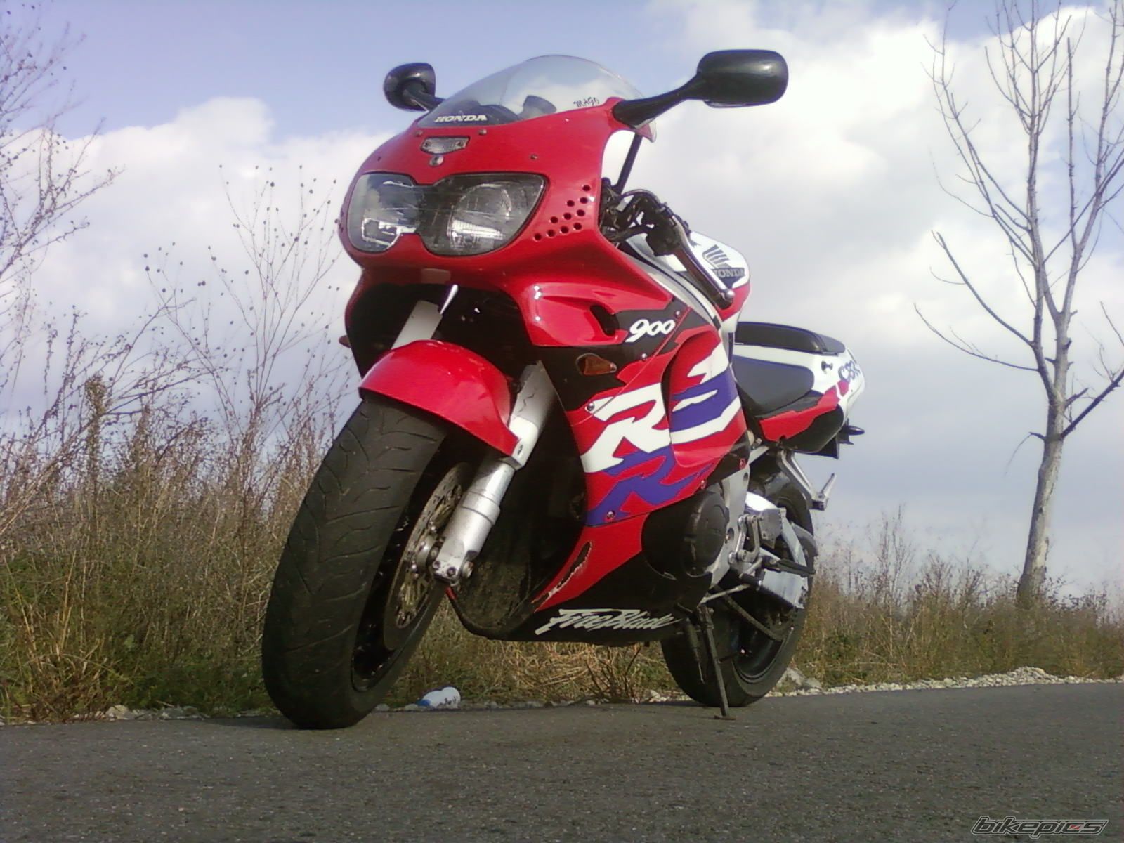 Photo 1465064