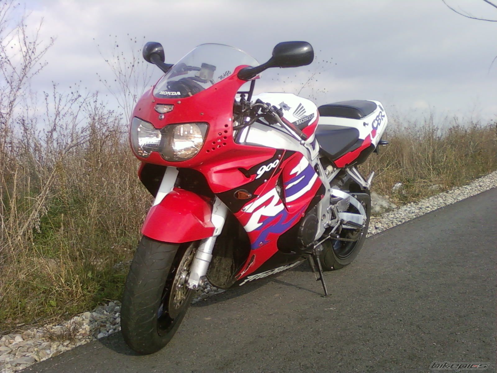 Photo 1465065