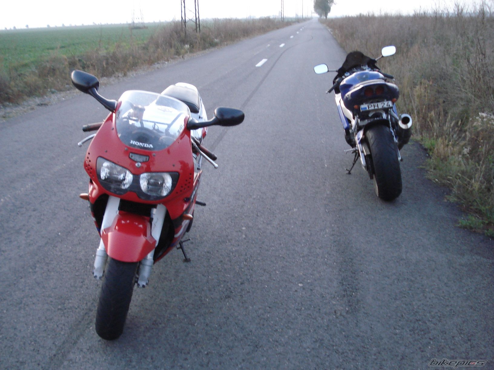 Photo 1465076