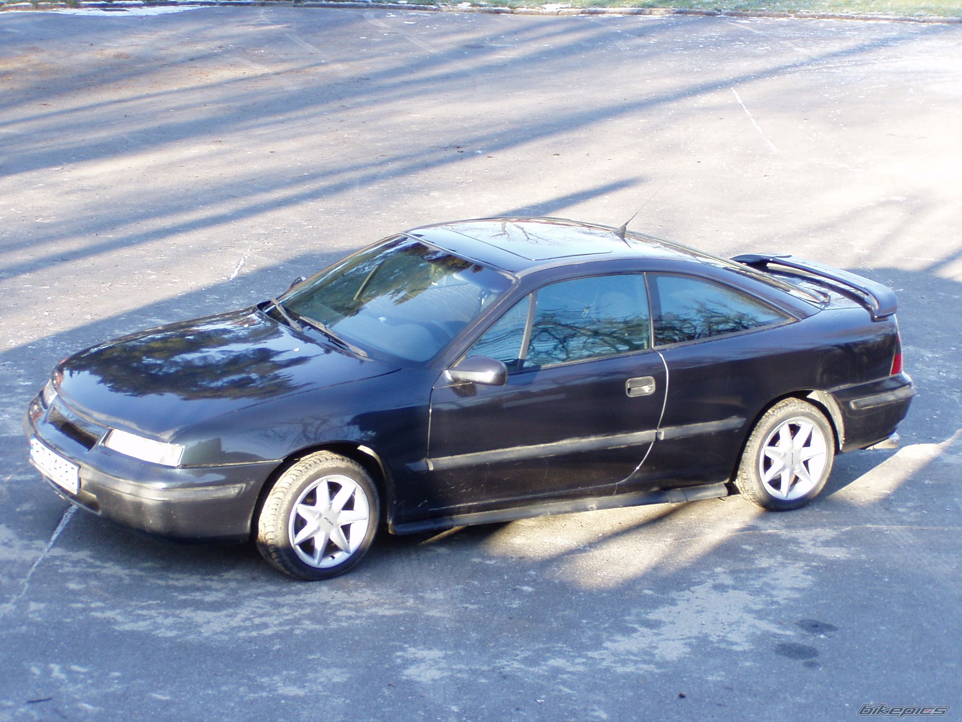 Photo 1465080