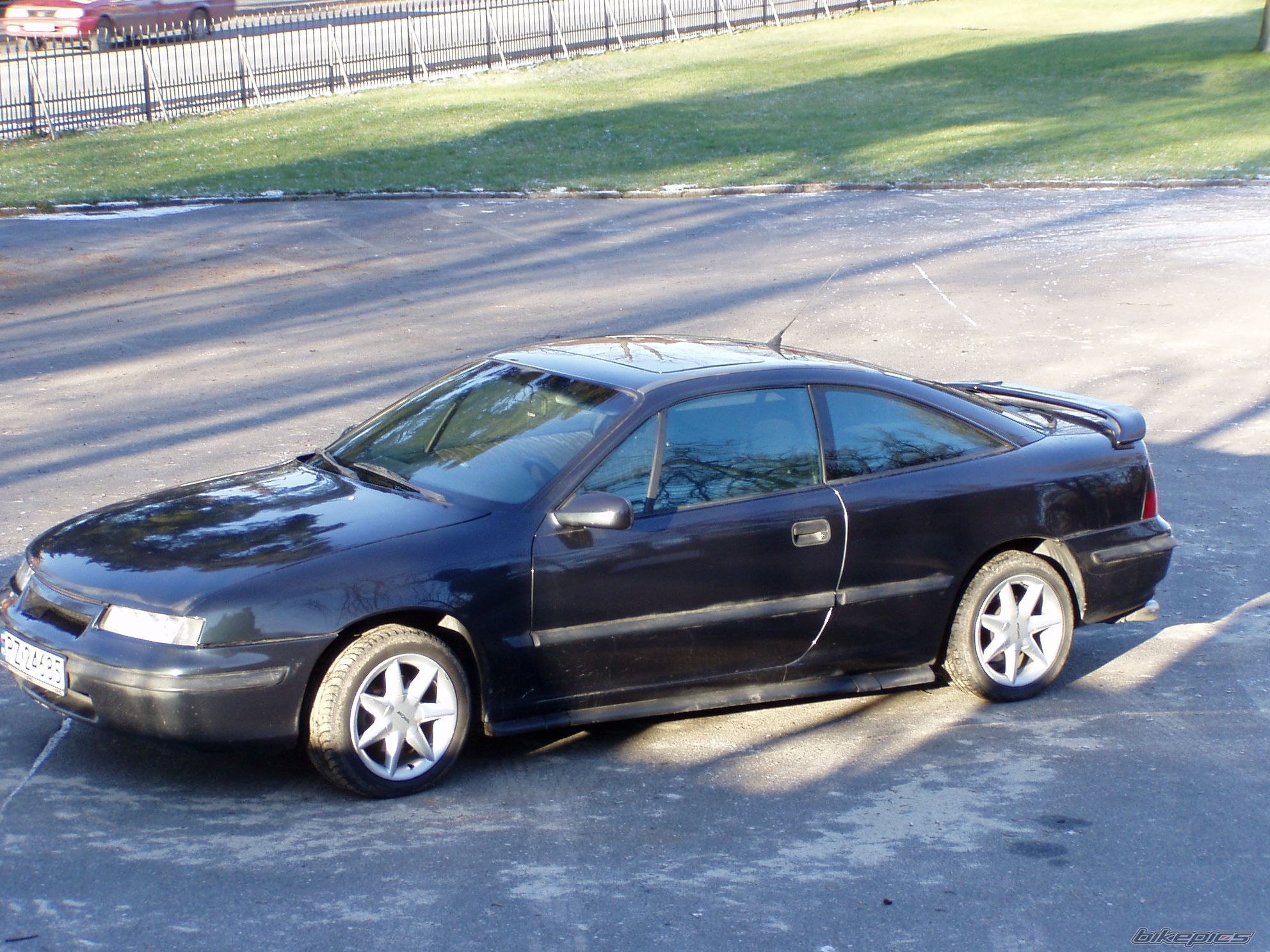 Photo 1465083