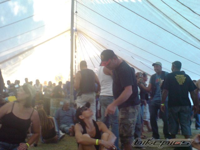 Photo 1465092