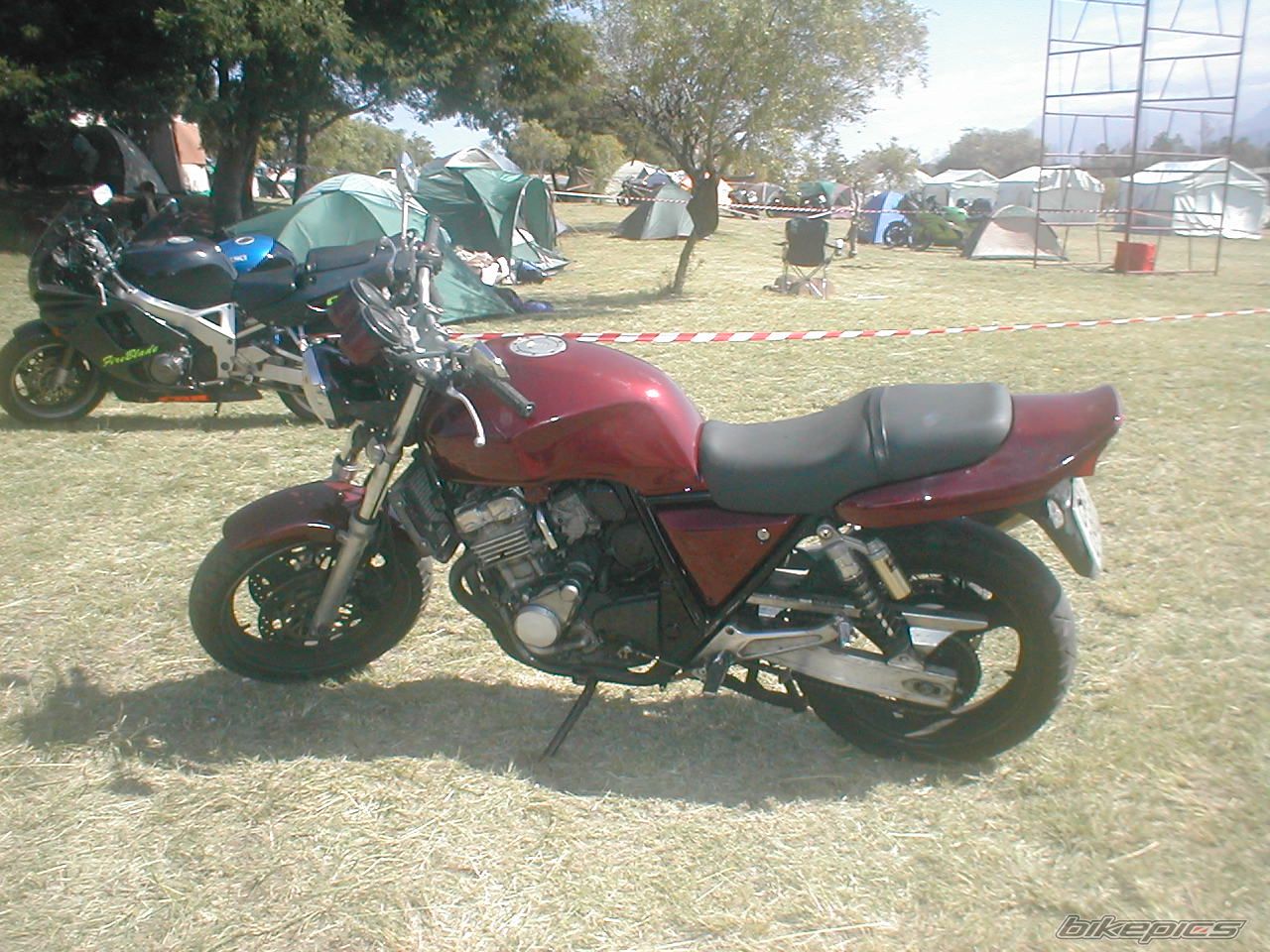 Photo 1465096