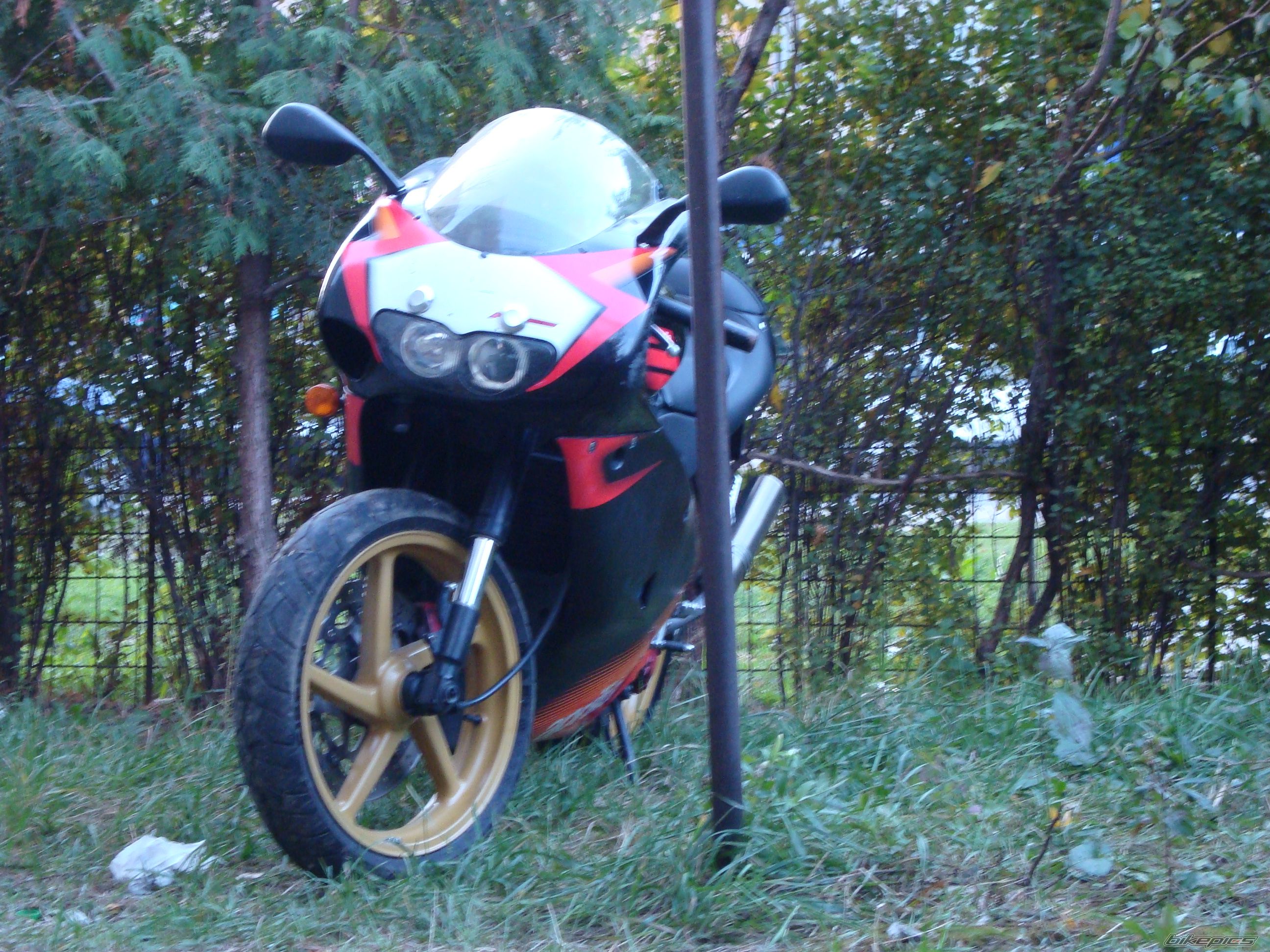 Photo 1465200