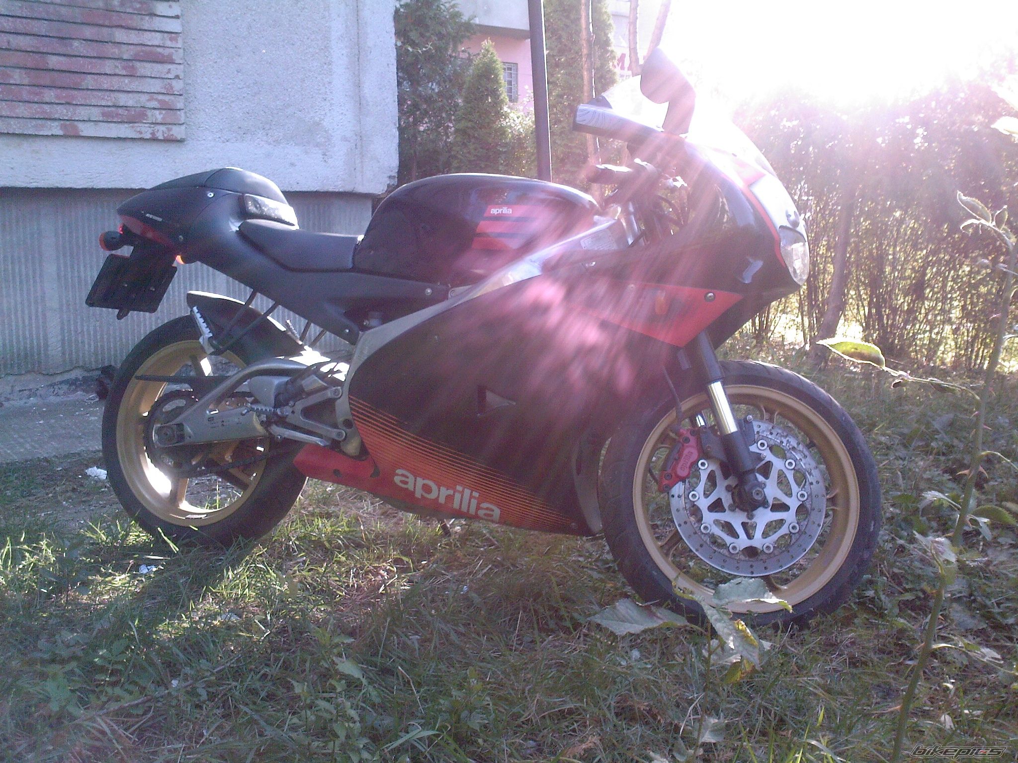 Photo 1465203
