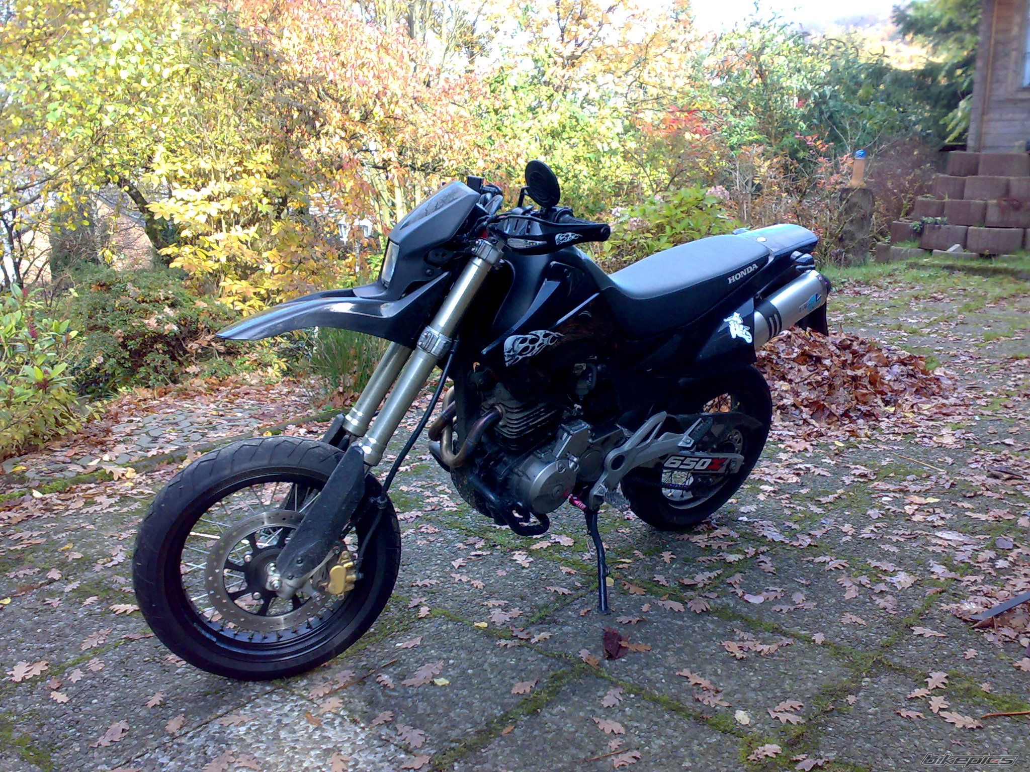 Photo 1465205