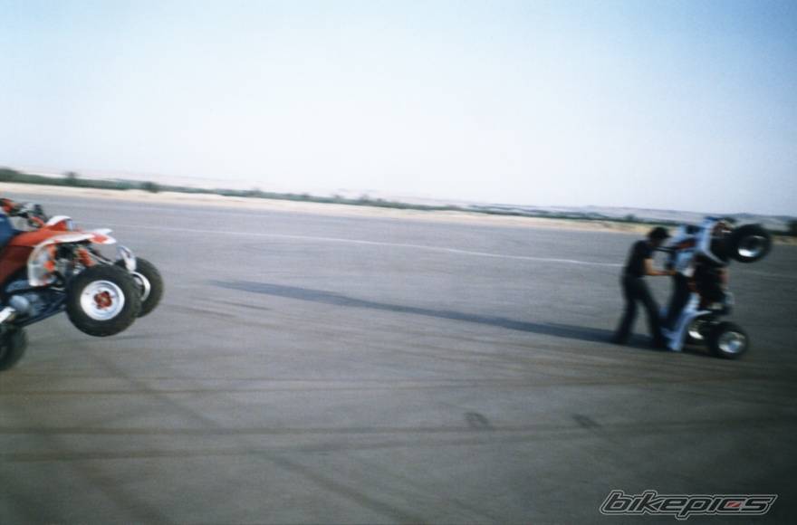Photo 146521