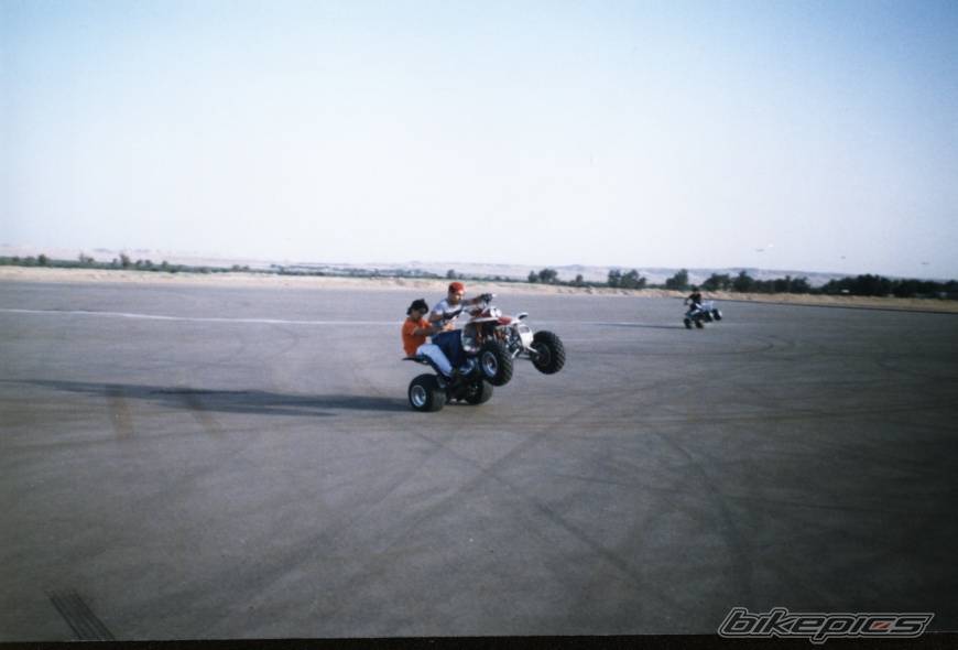 Photo 146522