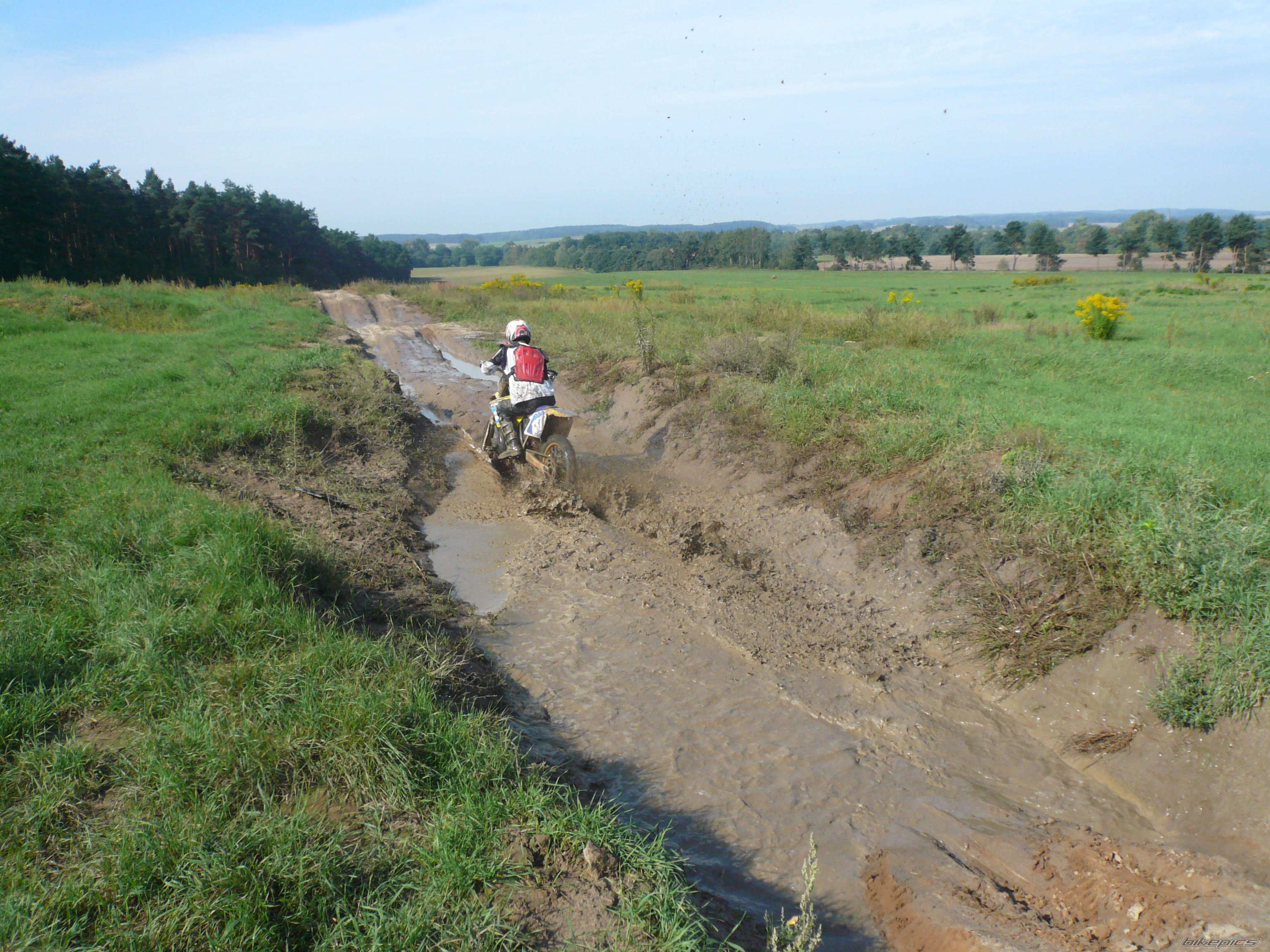 Photo 1465245