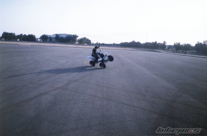 Photo 146525