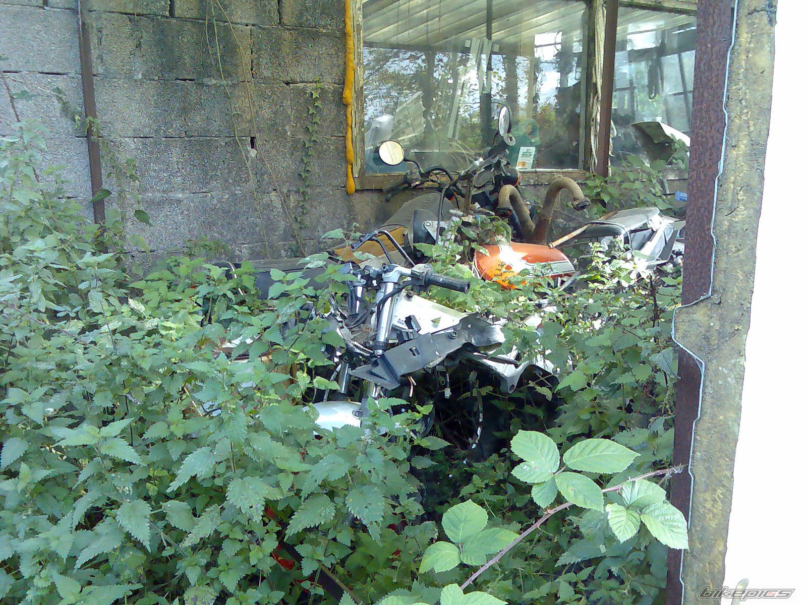 Photo 1465298
