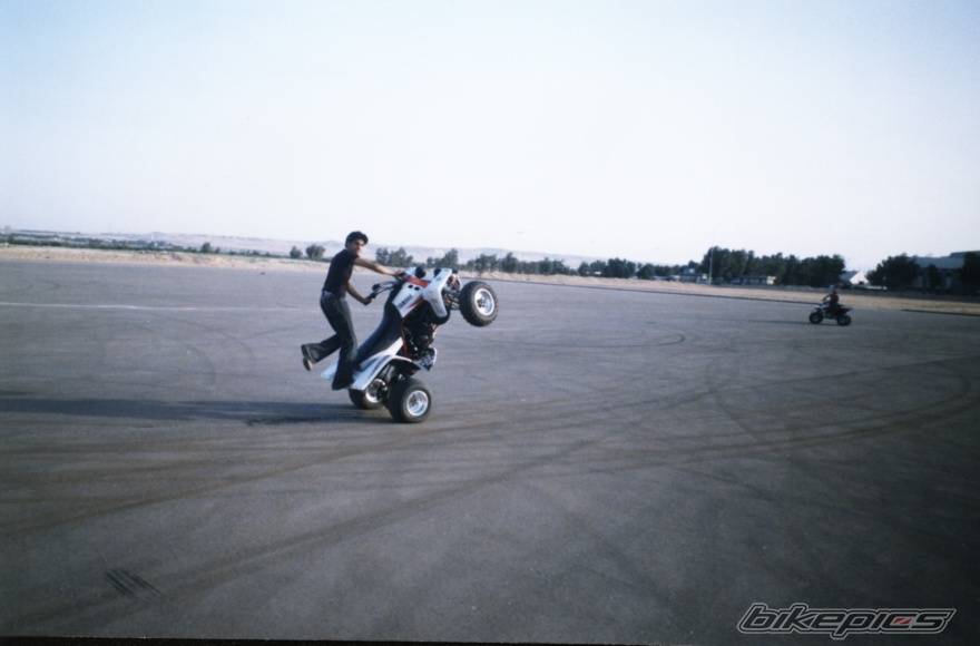 Photo 146532