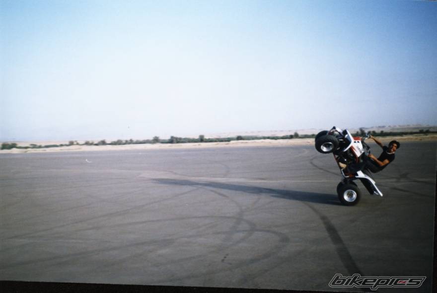 Photo 146534