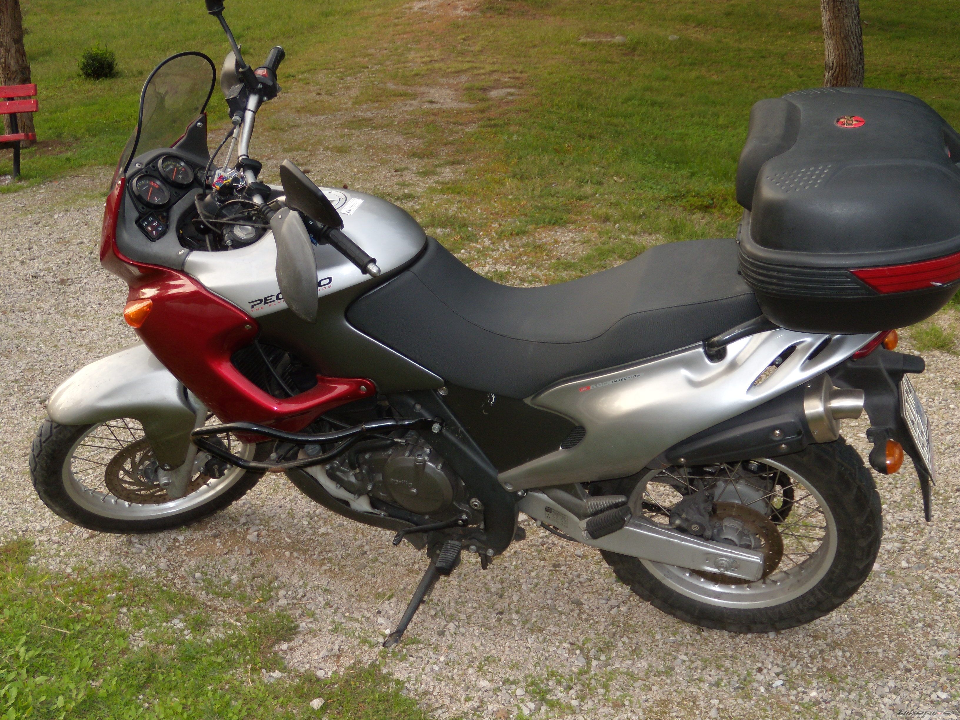 Photo 1465344