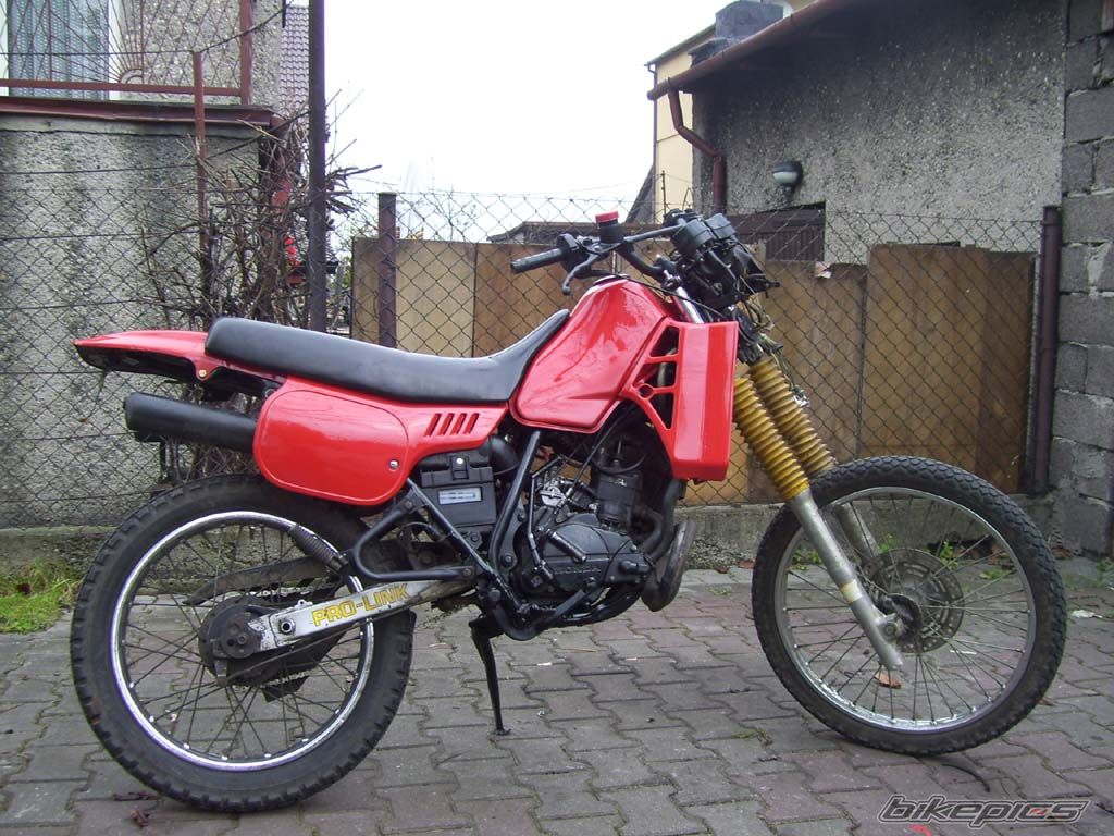Photo 1465354