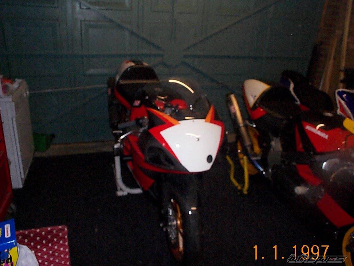 Photo 14655