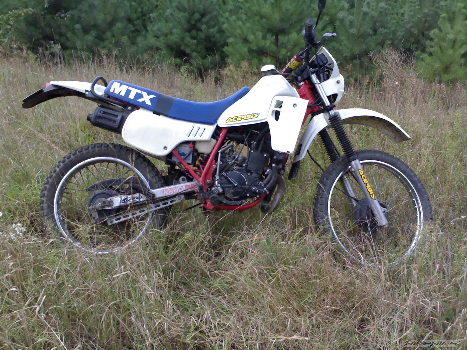 Photo 1465516