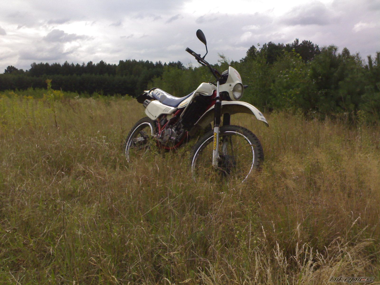Photo 1465517