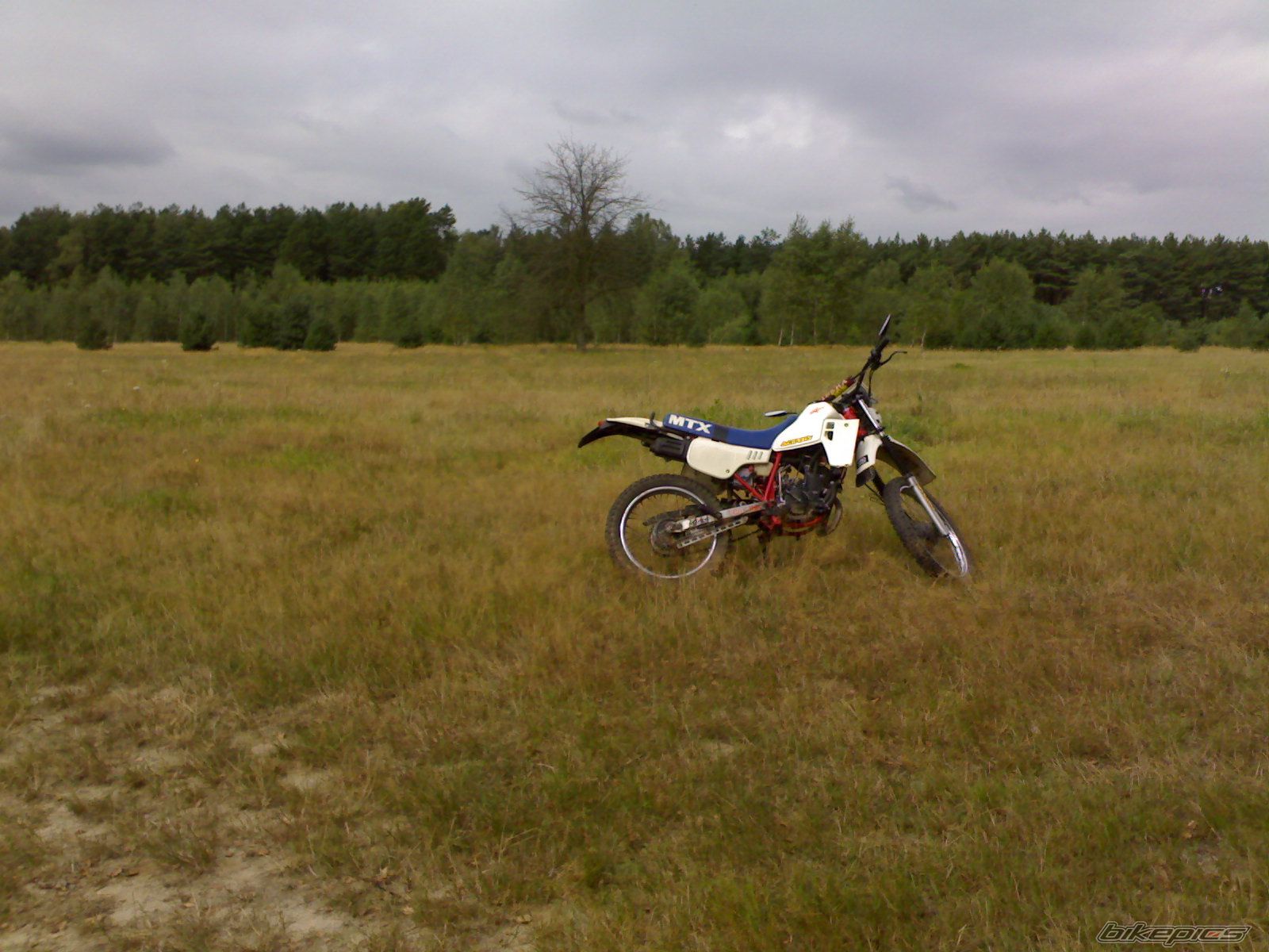 Photo 1465522
