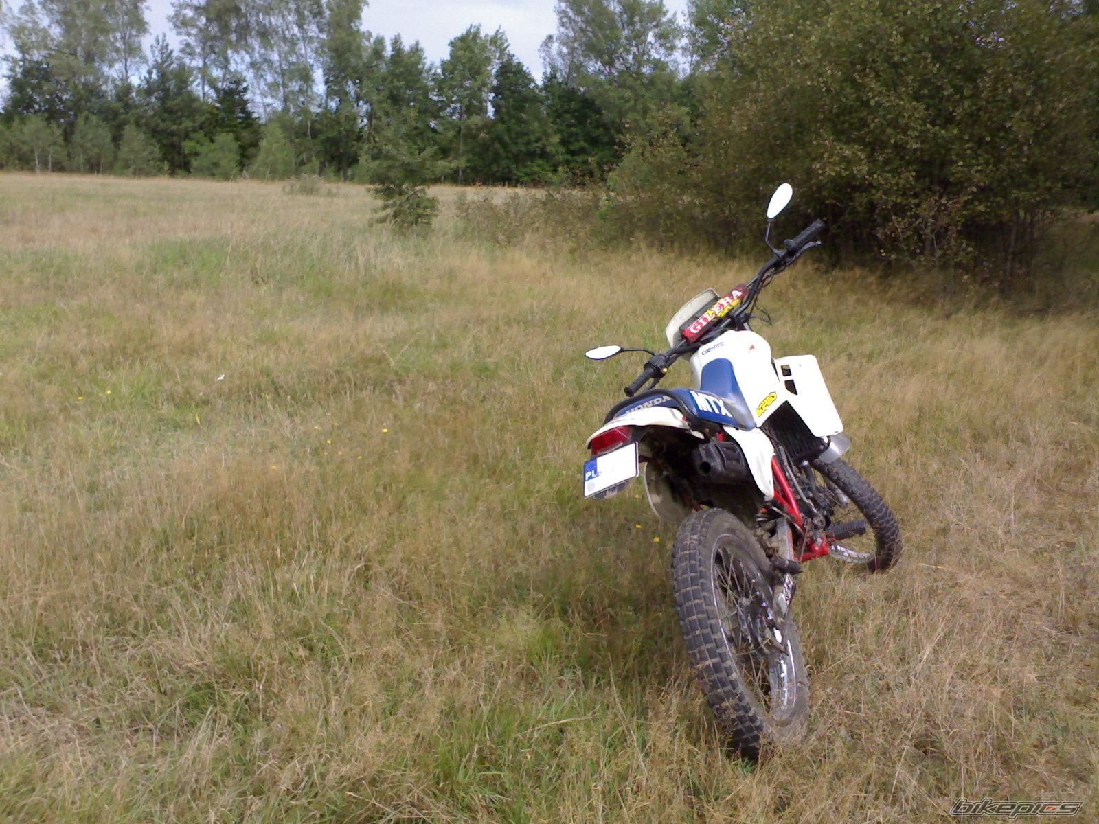Photo 1465523