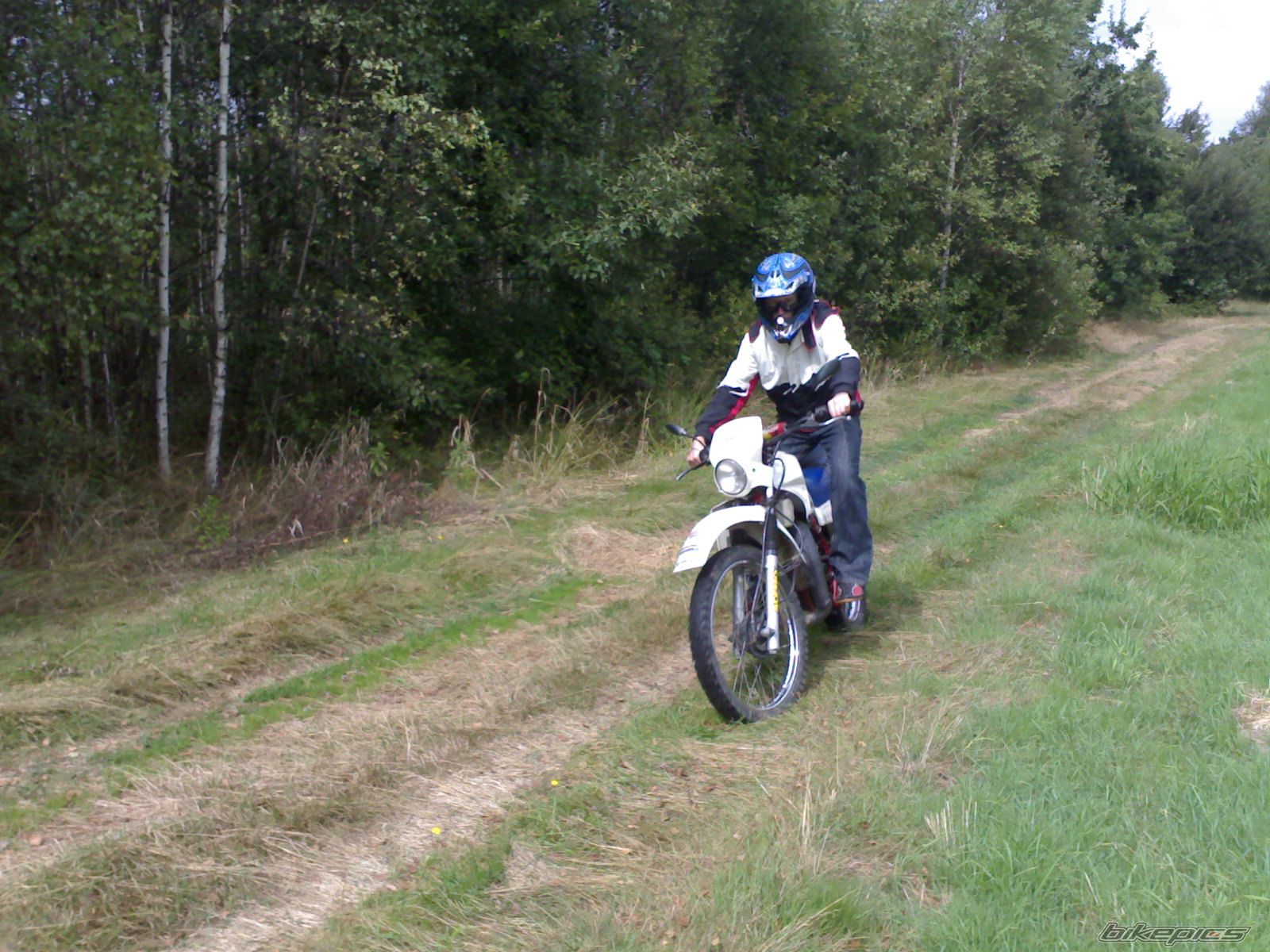 Photo 1465533